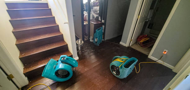 Water damage restoration mold remediation in ME