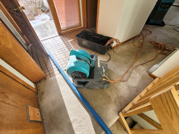 Best 24-hour water damage restoration  in Kittery Point, ME