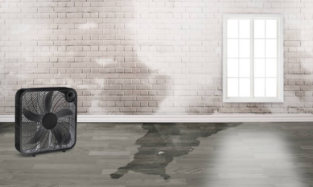  Kittery Point, ME Water damage restoration Pros