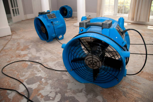 Best Fire Damage Restoration  in Kittery Point, ME